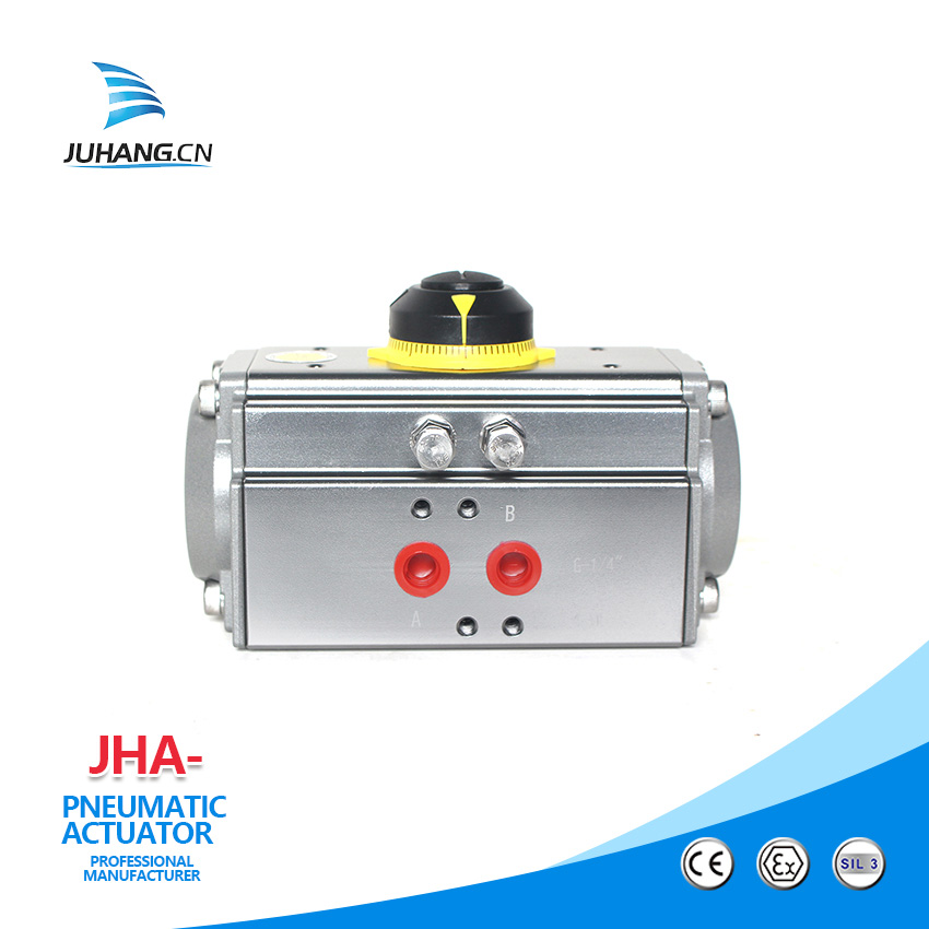 रोटरी वायवीय Actuator